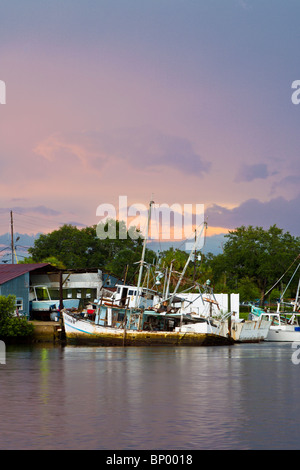 Tempesta tropicale Bonnie fornisce drammatica cieli di pesca commerciale barche ormeggiate a Tarpon Springs, in Florida Foto Stock