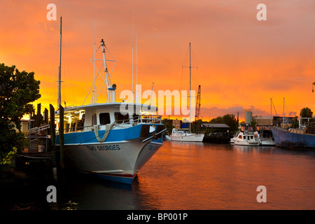 Tempesta tropicale Bonnie fornisce drammatica cieli di privato e commerciale barche ormeggiate a Tarpon Springs, in Florida Foto Stock