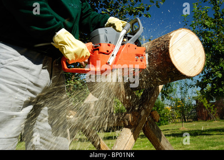 Il chainsaw il taglio del blocco di legno Foto Stock