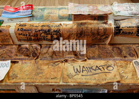 I vecchi elementi e cimeli appesi alle pareti del pub di Puhoi, Nuova Zelanda Foto Stock