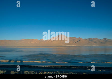 Laguna Colorado a 4278 metri, una ricca fonte di sodio, magnesio borace e gesso, in alto Altiplano del sud-ovest della Bolivia Foto Stock
