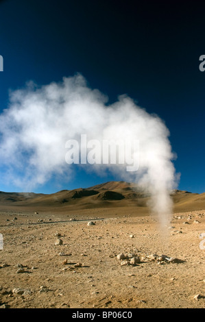 Un geyser di vapore al Sol de Manana Geyser Basin in Bolivia. Foto Stock