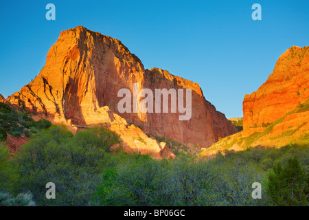 Parco Nazionale di Zion Foto Stock