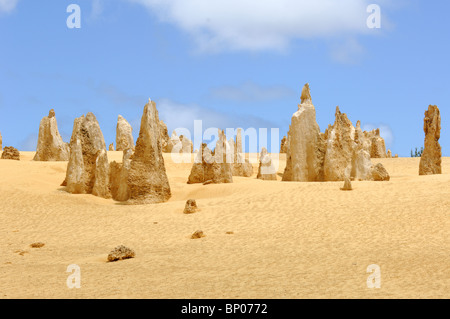 Deserto Pinnacles in Australia occidentale nei pressi della città di Cervantes Foto Stock