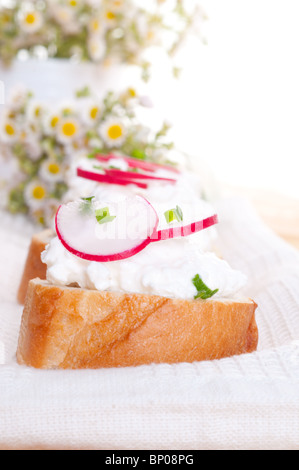 Formaggio fresco con un giardino ravanello Foto Stock