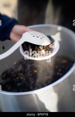 Close-up di mani che serve le cozze in una piastra Foto Stock