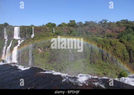 Iguassu cascate di arcobaleno in una giornata di sole al mattino presto. Le più grandi cascate sulla terra. Foto Stock