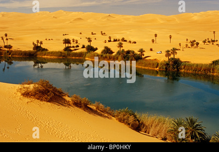 Libia, Fezzan, Edeyen Ubari, Ubari nr. Il Dawada (aka Ramla) laghi comprendono diverse piscine oasi come Um al Ma Foto Stock