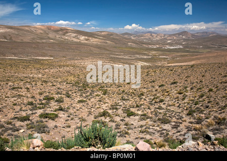 Il Perù, il tetro altiplano di alto Ande tra Arequipa e il Canyon del Colca. Foto Stock