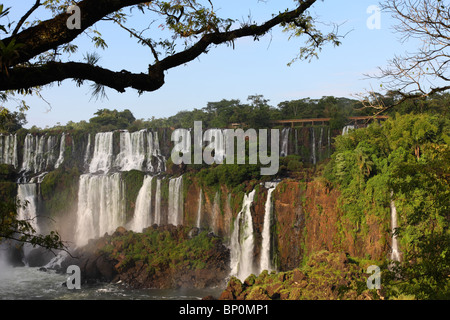 Iguassu cascate in una giornata di sole al mattino presto. Le più grandi cascate sulla terra. Foto Stock