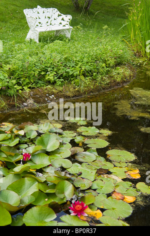 Panca bianca presso un laghetto con ninfee nel giardino svedese Foto Stock