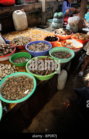 Una ampia varietà di frutti di mare per la vendita in cellule CHO Vung Tau (Vung Tau mercato). Vung Tau, Vietnam Foto Stock