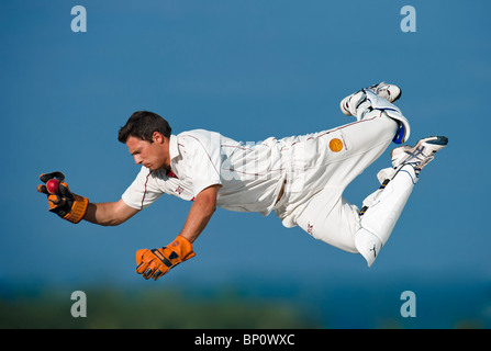 Wicket keeper in azione le immersioni per la cattura di cricket palla. Foto Stock