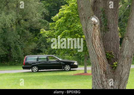 Volvo nero carro parcheggiato su erba. Foto Stock