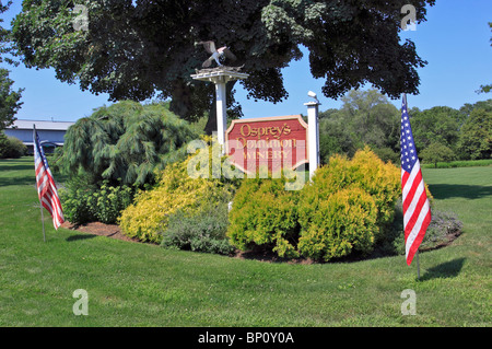 Osprey il dominio cantina e vigneto, Peconic, forcella del nord orientale di Long Island NY Foto Stock