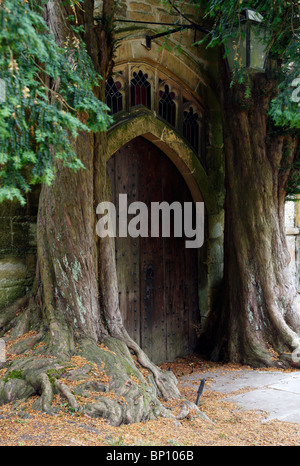 Due vecchi alberi di tasso e la porta della chiesa, 'St Edwards' Church, Stow on the Wold, Cotswolds, REGNO UNITO Foto Stock