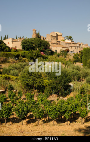 Villaggio sulla collina di Montouliers con viti e olivi in crescita sulla collina nel dipartimento di Herault del Languedoc Roussillon regio Foto Stock