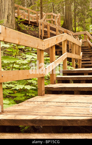 Giant Cedars Boardwalk Trail, Mount Revelstoke National Park, British Columbia, Canada Foto Stock