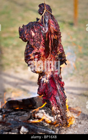 Un castoro è affumicato su un piccolo incendio presso la Wendake Pow-Wow Luglio 31, 2010. Foto Stock