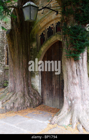 Due vecchi alberi di tasso e la porta della chiesa, 'St Edwards' Church, Stow on the Wold, Cotswolds, REGNO UNITO Foto Stock