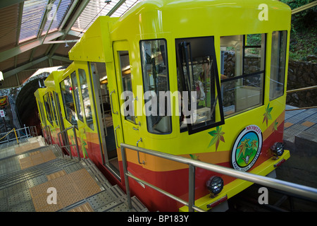 Mount Takao o 'takaosan' è una montagna a est di Tokyo. Con un'elevazione di 600 metri Takao si trova a un ora da Tokyo Foto Stock