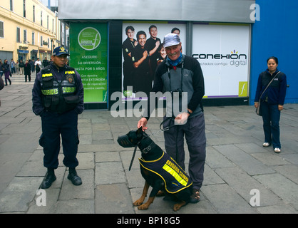 E turistico ufficiale di polizia con un cane selvaggio su Jiron de la Union, nei pressi di Plaza de Armas, Sindaco, Lima, Perù. Foto Stock