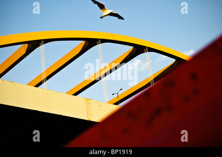 Ammira l'Hoan Bridge a Milwaukee, Wisconsin, mentre un gabbiano vola attraverso il telaio. Foto Stock