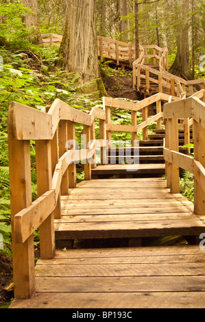 Giant Cedars Boardwalk Trail, Mount Revelstoke National Park, British Columbia, Canada Foto Stock