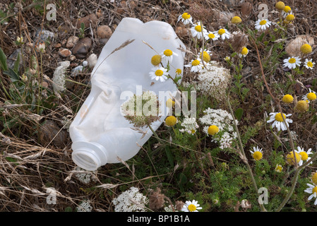 Plastica bottiglia di latte scartato in un paese di lingua inglese sentiero Foto Stock