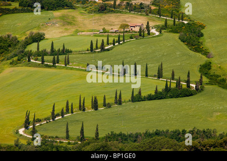 Cypress alberata switchbacks vicino La Foce, Toscana Italia Foto Stock