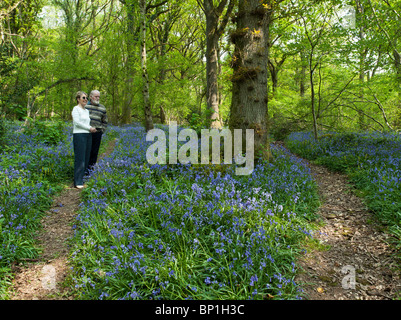 Coppia in pensione a piedi attraverso il Blue Bells nei boschi Wye Valley Regno Unito Foto Stock