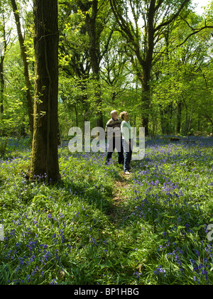 Coppia in pensione a piedi attraverso il Blue Bells nei boschi Wye Valley Regno Unito Foto Stock