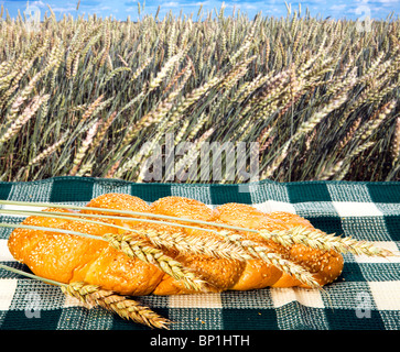 Il grano e il pane su sfondo del campo Foto Stock