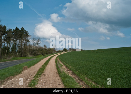Francia, centro, Eure et Loir, campo di grano Foto Stock