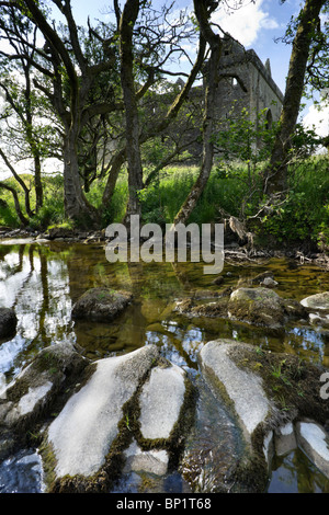 Eremo di acqua con il castello di Hermitage oltre Foto Stock