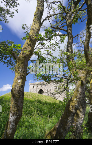 Hermitage castello vicino Newcastleton nel Roxburghshire, XIII secolo la fortezza di pietra vicino alla frontiera scozzese con l'Inghilterra. Foto Stock