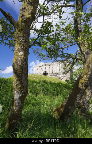 Hermitage castello vicino Newcastleton nel Roxburghshire, XIII secolo la fortezza di pietra vicino alla frontiera scozzese con l'Inghilterra. Foto Stock