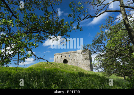 Hermitage castello vicino Newcastleton nel Roxburghshire, XIII secolo la fortezza di pietra vicino alla frontiera scozzese con l'Inghilterra. Foto Stock