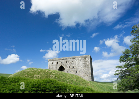 Hermitage castello vicino Newcastleton nel Roxburghshire, XIII secolo la fortezza di pietra vicino alla frontiera scozzese con l'Inghilterra. Foto Stock