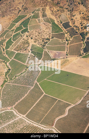 I vigneti e i frutteti vicino a Santiago del Cile, America del Sud - aerial Foto Stock