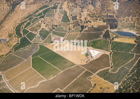 I vigneti e i frutteti vicino a Santiago del Cile, America del Sud - aerial Foto Stock