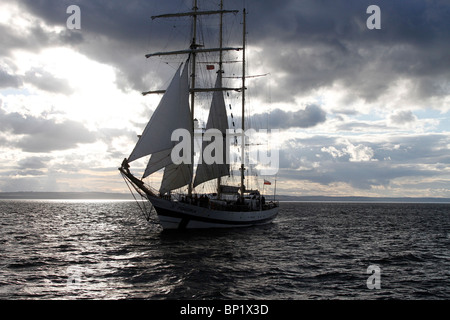 Pogoria Classe A Tall Ships a Hartlepool Festival Race 2010, North Yorkshire, Regno Unito Foto Stock