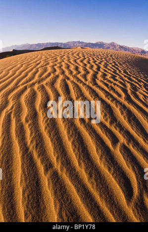 Luce della Sera su modelli di dune, Mesquite Flat dune di sabbia, il Parco Nazionale della Valle della Morte. California Foto Stock