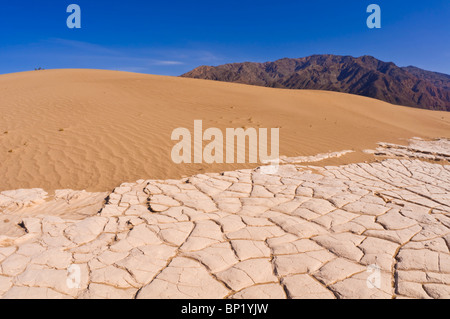 Incrinato playa a Mesquite Flat dune di sabbia, il Parco Nazionale della Valle della Morte. California Foto Stock