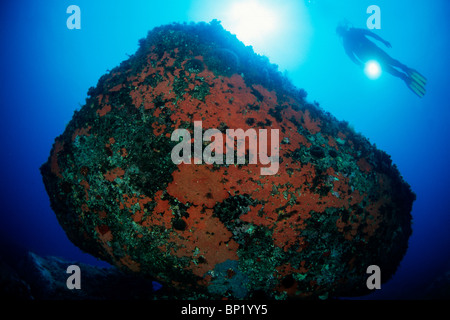 Scuba Diving in Sardegna, Sardegna, Italia Foto Stock