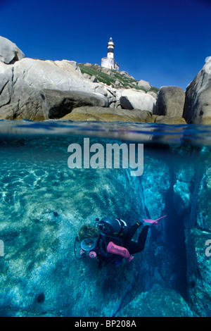 Scuba diving in prossimità di Cavoli, Sardegna, Italia Foto Stock