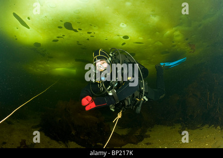 Immersioni sotto il ghiaccio, Mare Bianco, Carelia, Russia Foto Stock