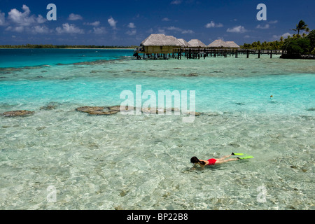 Lo snorkeling nella laguna di Manihi Isola, Manihi, Polinesia Francese Foto Stock