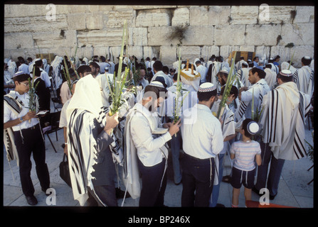 425. Pregando presso il Muro occidentale con le quattro specie durante la festa di Sukkot (Tabernacolo). Foto Stock