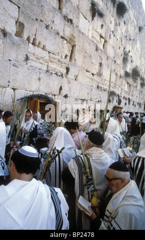 425. Pregando presso il Muro occidentale con le quattro specie durante la festa di Sukkot (Tabernacolo). Foto Stock